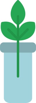 Gmo Vector Icon