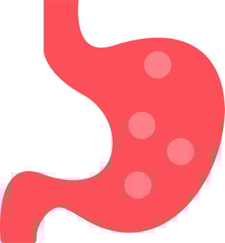 Stomach Vector Icon