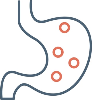 Stomach Vector Icon