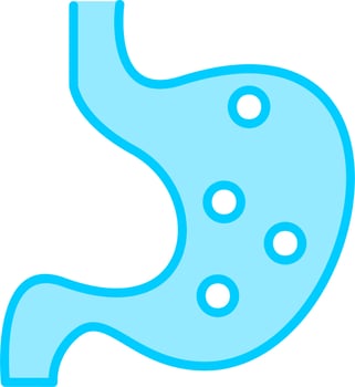 Stomach Vector Icon