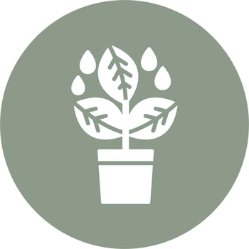 Plant Vector Icon