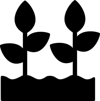 Plant Growing Vector Icon
