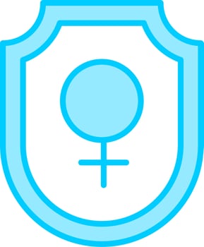 Shield Vector Icon