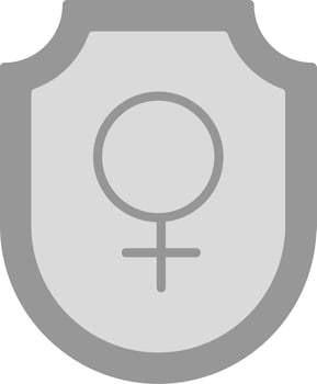 Shield Vector Icon