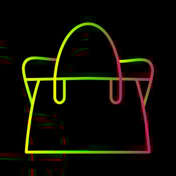 Bag Vector Icon