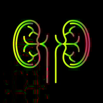 Kidney Line Icon vector