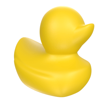 duck animal isolated on transparent png