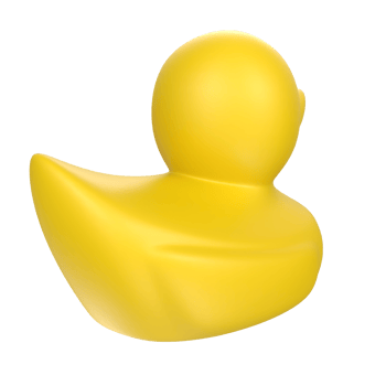 duck animal isolated on transparent png
