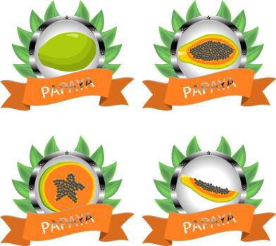 Sweet juicy tasty natural eco product papaya png