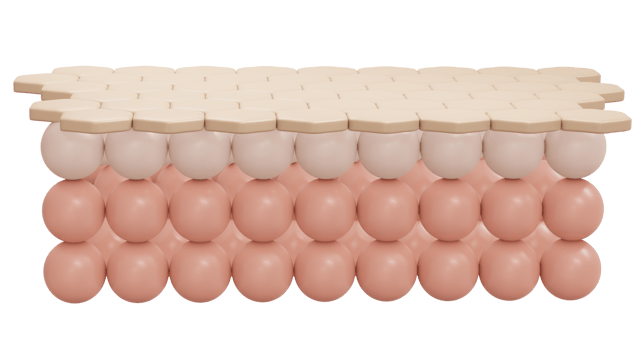 3d rendering of hexagon pattern closeup of clean perfect skin cell layer for cosmetic advertise. 3D Render illustration. png