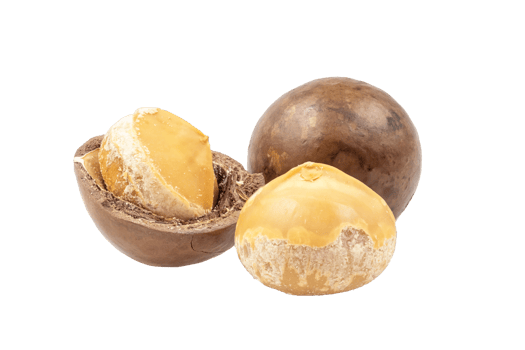 Macadamia nuts isolated on transparent background. Package design element with clipping path png