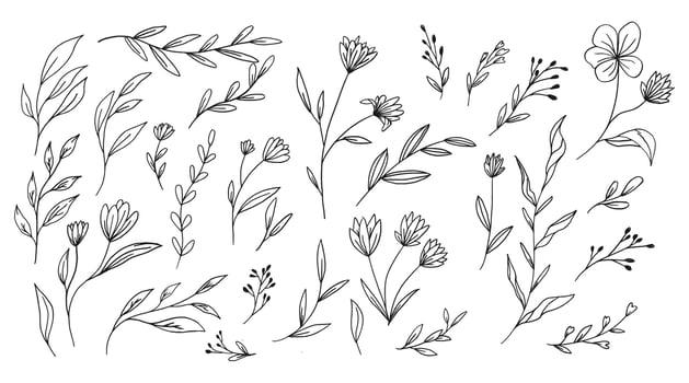 Doodle hand drawn leaf collection organic floral decorative vector
