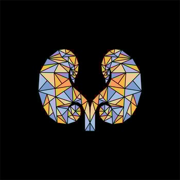 Human kidney geometric colorful illustration design vector