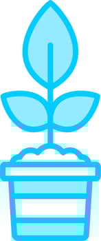 Plant Vector Icon