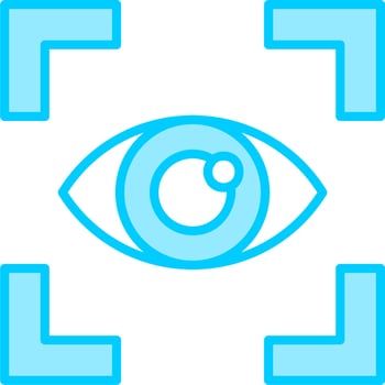 Vision Vector Icon