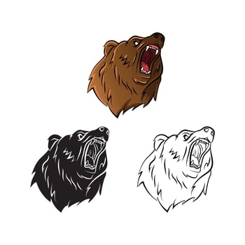 Coloring book bear cartoon character vector