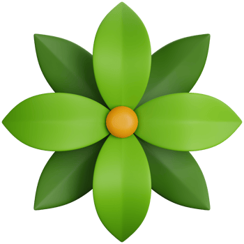 3D Rendering Top View Flowers Isolated png