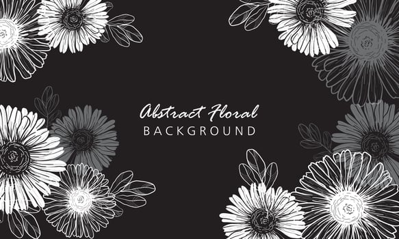 Hand drawing and sketch aster flower vector