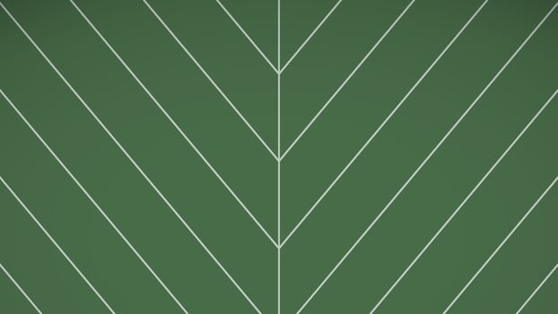 Leaf penninervis vertical background. Outline of pinnate Leaves on modern green illustration. Design for cover, banner, poster, texture, nature, related about background. vector