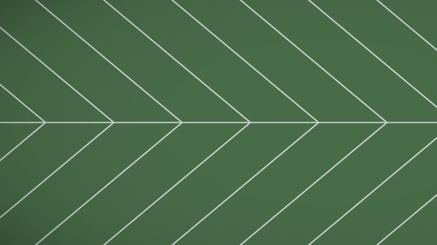 Leaf penninervis horizontal background. Pinnate Leaves on modern green illustration. Design for cover, banner, poster, texture, nature, related about background. vector