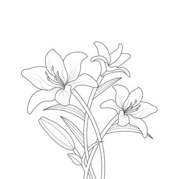 Lily Flower Coloring Page And Book Hand Drawn Line Art Illustration vector
