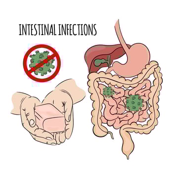 INTESTINAL INFECTIONS Prevention Soap Health Human Medicine vector