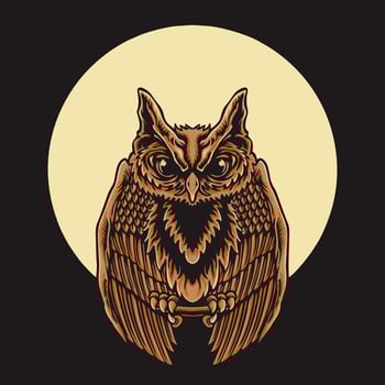 Owl Vector Illustration