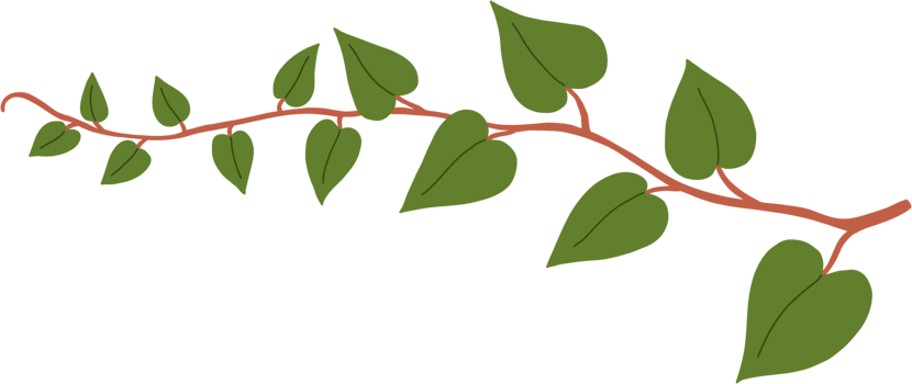 Simplicity ivy freehand drawing. png