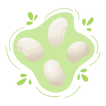 Fresh white beans. Cannellini, Great Northern, Baby Lima, Navy.Cute flat design. Vegetarian protein source. Organic legume for healthy food. Nutrition design. World Pulses Day. Cultivating pulses. vector
