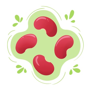 Fresh red kidney beans.  Cute flat design. Vegetarian protein source. Organic legume for healthy food. Nutrition design. World Pulses Day. Cultivating pulses. vector