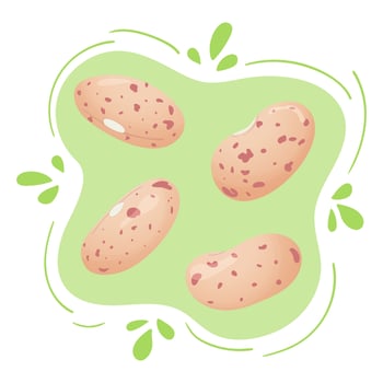Pinto carioca bean. Red sugar speckled beans. Cute flat design. Vegetarian protein source. Organic legume for healthy food. Nutrition design. World Pulses Day. Cultivating pulses. vector