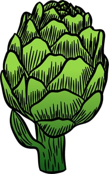 Artichoke. Hand drawn graphic illustration vector