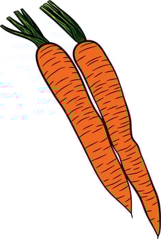 Carrot hand drawn vector illustration set. Isolated Vegetable artistic style object with sliced pieces. Detailed vegetarian food drawing. Farm market product. Great for menu, label, icon