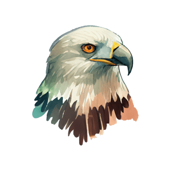 Watercolor Eagle . AI Generated png