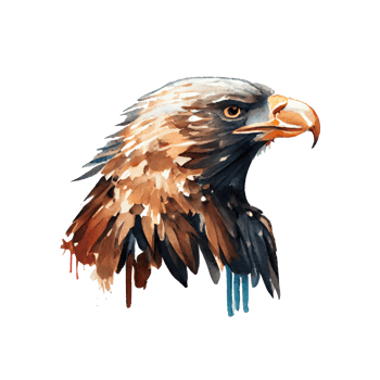 Watercolor Eagle . AI Generated png