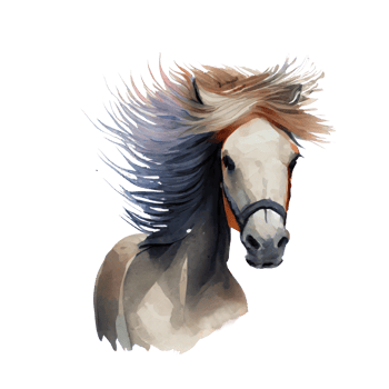 Vintage Watercolor Pony png