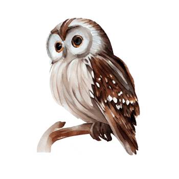 Vintage Watercolor owl . AI Generated png