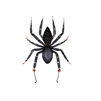 vintage watercolor Spider png