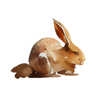 Vintage Watercolor Rabbit png