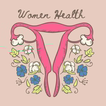 WOMEN HEALTH Organic Natural Materials Vector Illustration Set