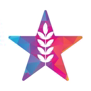 wheat grain star shape vector logo design.