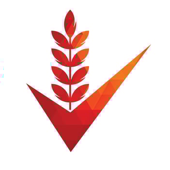 Wheat Grain Check Logo. Grain Wheat Logo Concept sign icon symbol Design. vector