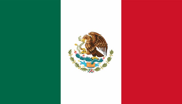 Mexico flag simple illustration for independence day or election vector
