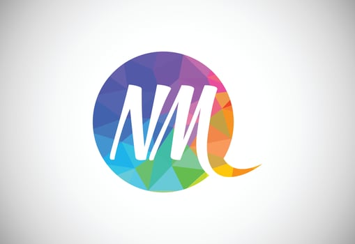 Initial Letter N M Low Poly Logo Design Vector Template. Graphic Alphabet Symbol For Corporate Business Identity