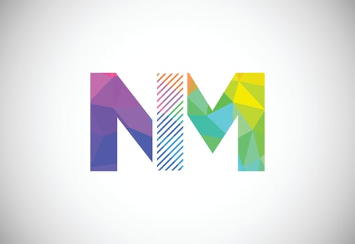 Initial Letter N M Low Poly Logo Design Vector Template. Graphic Alphabet Symbol For Corporate Business Identity