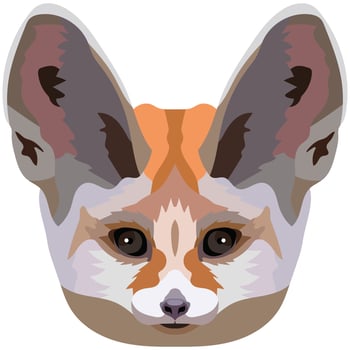 Fennec face. An illustration of the muzzle of a small eared fox is depicted. Bright portrait on a white background. Vector graphics. animal logo.