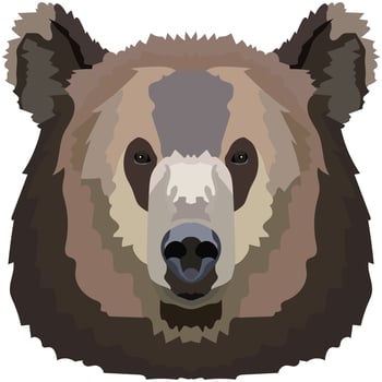 Bear face. An illustration of the muzzle of a large grizzly bear is depicted. Bright portrait on a white background. Vector graphics. animal logo.