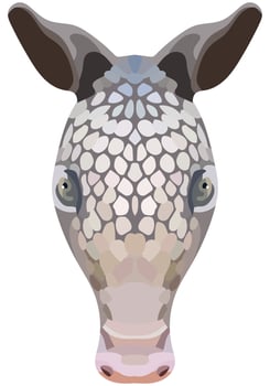 Armadillo face. Shown is an illustration of the snout of Cingulata. Bright portrait on a white background. Vector graphics. animal logo.