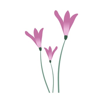 Delicate bell flowers. Lilac blooming spring flowers. Beautiful flowers in a flat style. Botanical theme with white isolated background. Flowers for prints, posters, banners. vector
