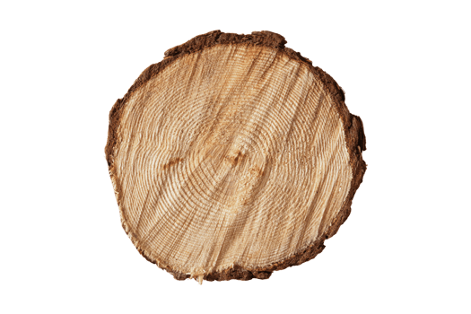 Brown wood isolated on a transparent background png